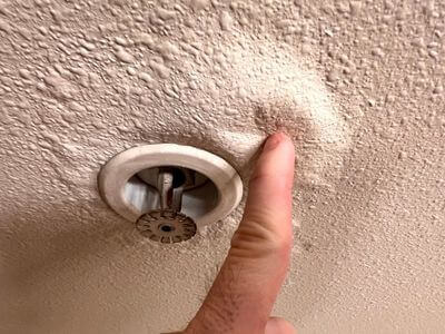 About Black Mold Removal Rochester Mills - black mold removal experts in Rochester Mills